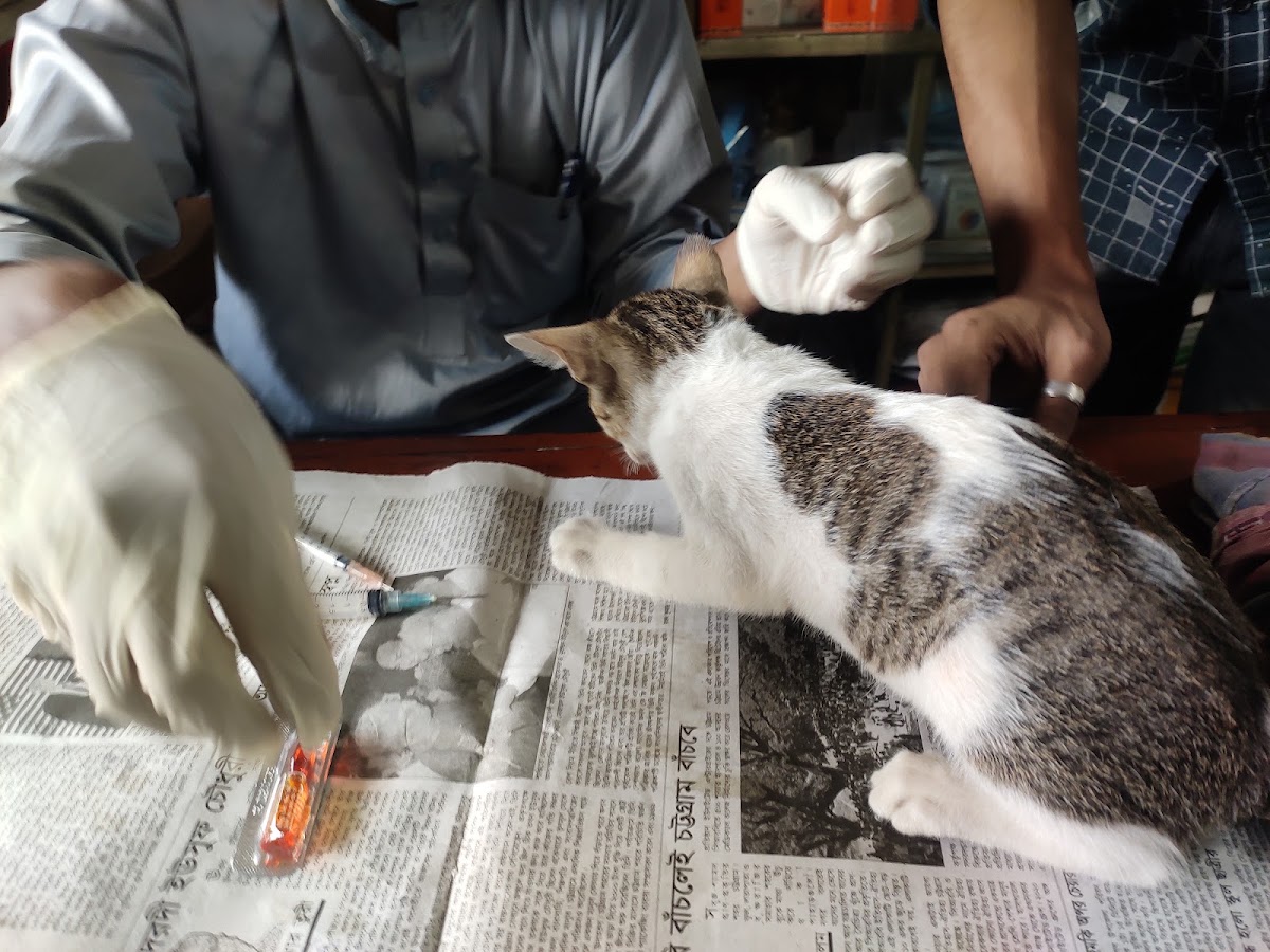 Vet Clinic - Photo 3