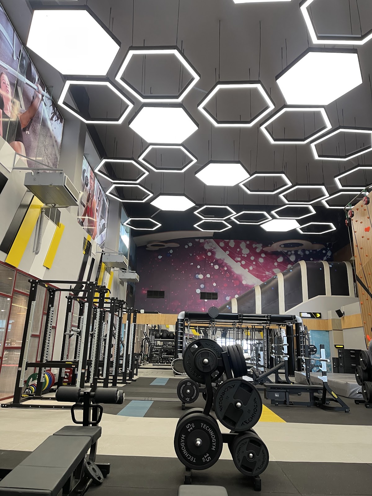 Gold’s Gym Bashundhara City Shopping Mall Branch logo