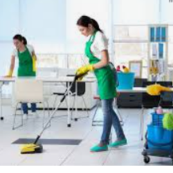 Panna Cleaning Services logo