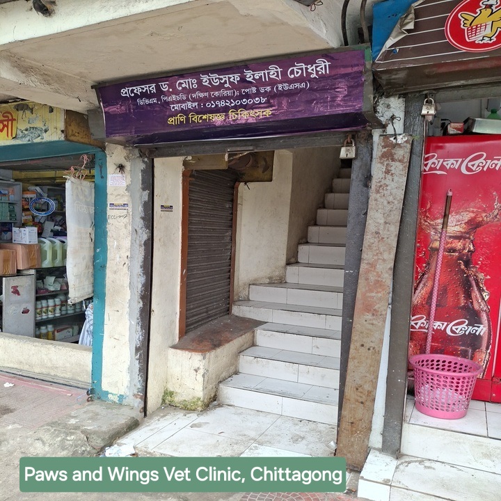 Paws and Wings Vet Clinic - Photo 2