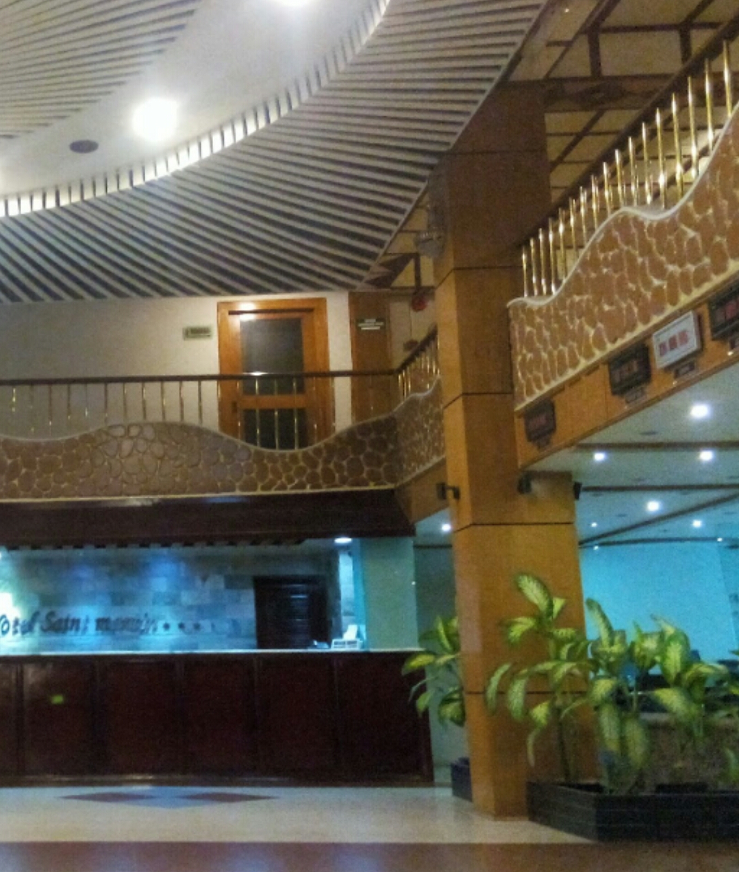 Hotel Saint Martin Ltd - Photo 3