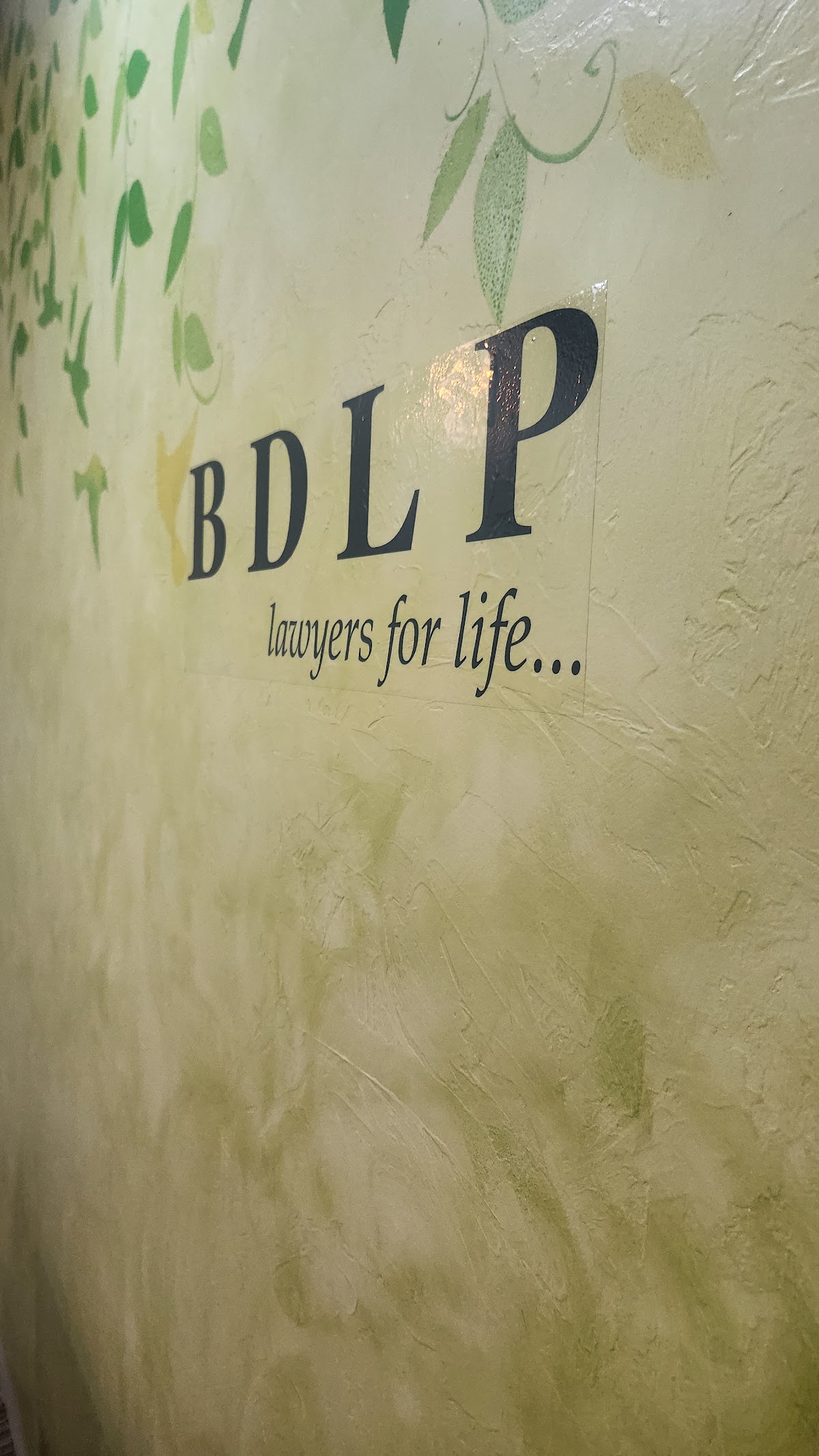 BDLP Law Firm Gulshan Office বিডিএলপি ল ফার্ম - গুলশান অফিস আইনি সেবা logo