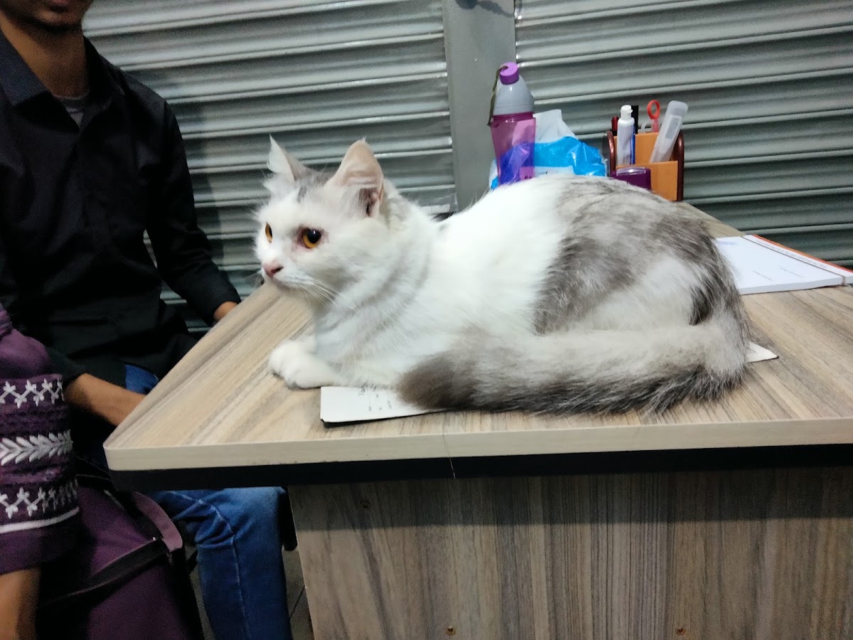 Pawspital Veterinary Care - Photo 2
