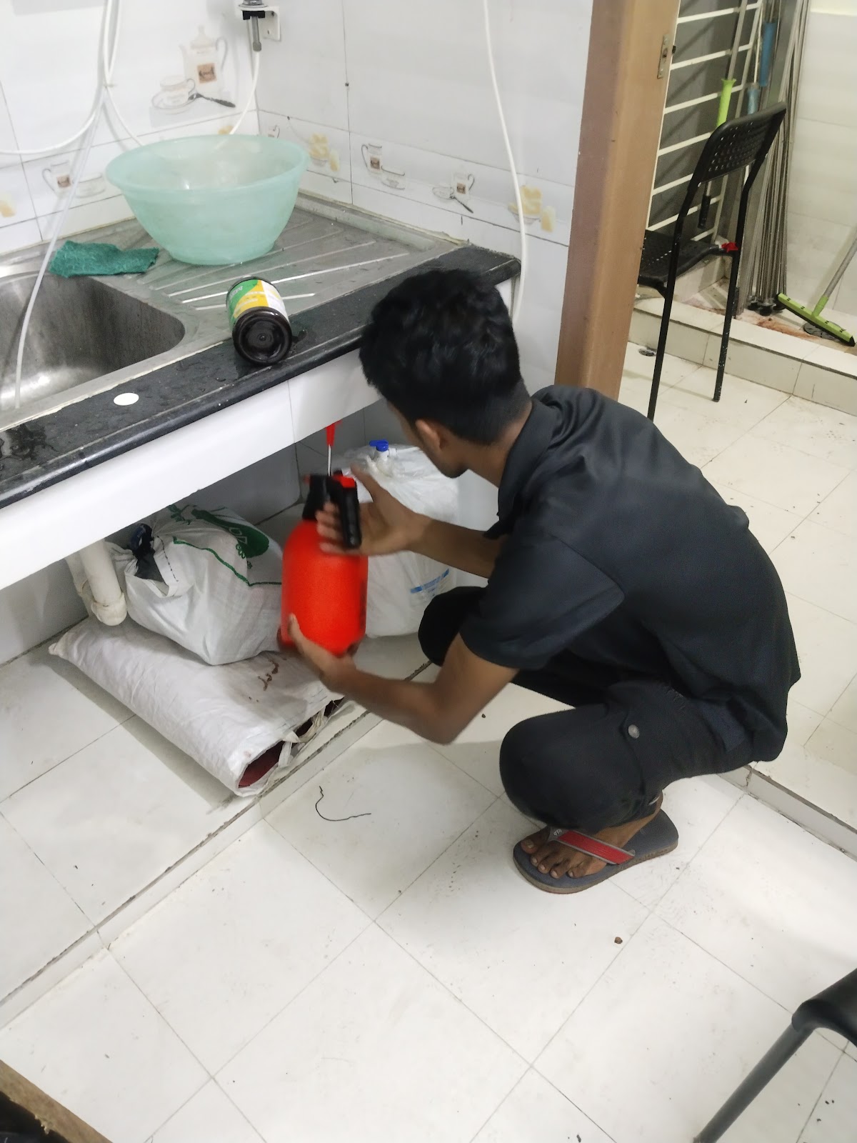 Dhaka pest control logo