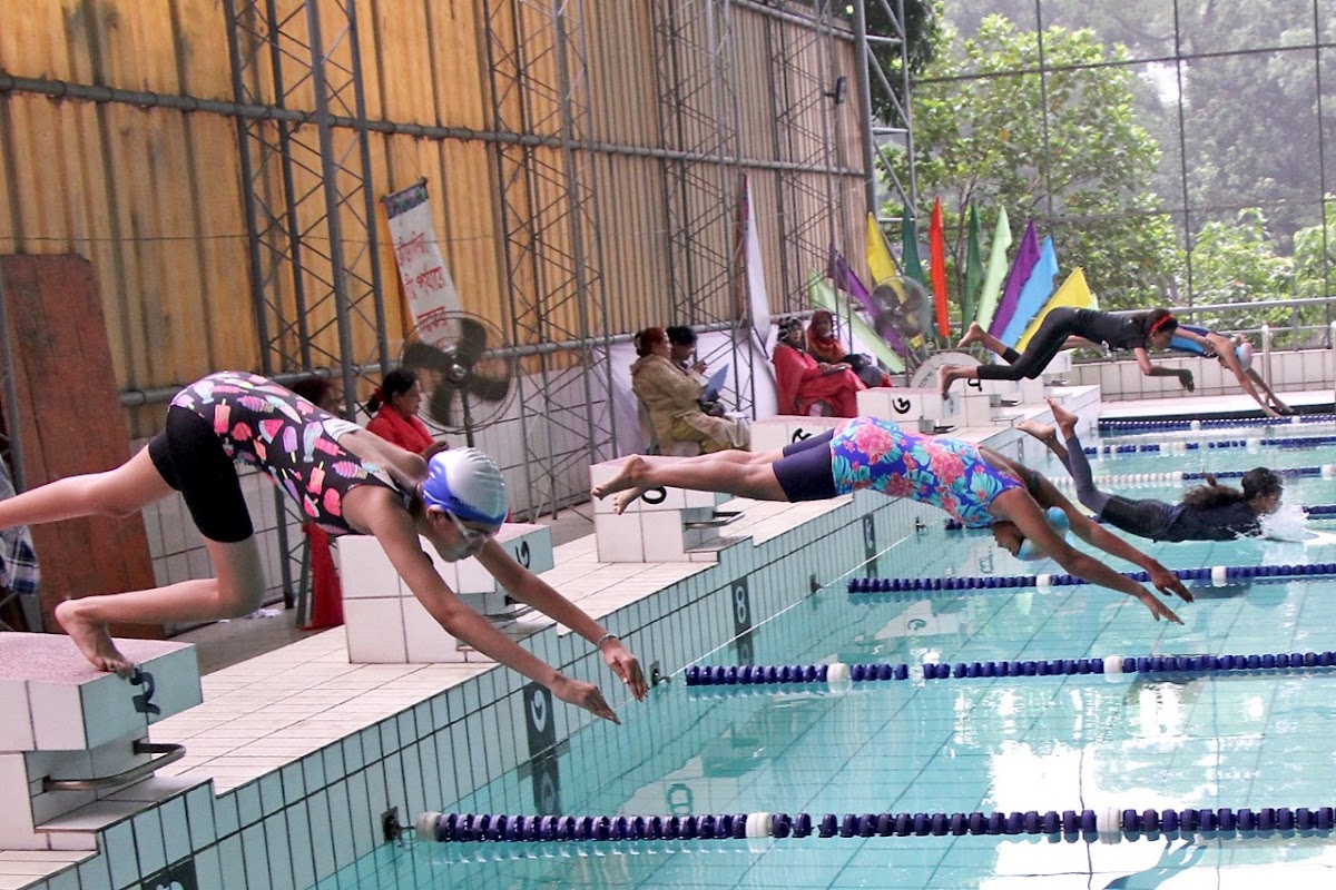 Swimming Pool logo